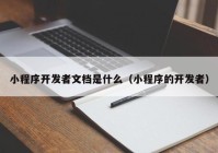 小程序開(kāi)發(fā)者文檔是什么（小程序的開(kāi)發(fā)者）