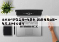 北京軟件開發(fā)公司一年營利（軟件開發(fā)公司一年可以掙多少錢?）