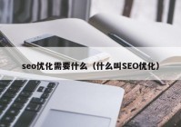 seo優(yōu)化需要什么（什么叫SEO優(yōu)化）