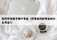 軟件開發(fā)屬于哪個專業(yè)（開發(fā)軟件的專業(yè)叫什么專業(yè)?）