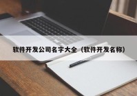 軟件開發(fā)公司名字大全（軟件開發(fā)名稱）