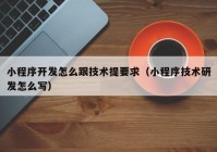 小程序開發(fā)怎么跟技術提要求（小程序技術研發(fā)怎么寫）