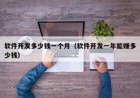 軟件開發(fā)多少錢一個月（軟件開發(fā)一年能賺多少錢）