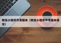 微信小程序開發(fā)版本（微信小程序開發(fā)版本提交）