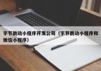 字節(jié)跳動小程序開發(fā)公司（字節(jié)跳動小程序和微信小程序）