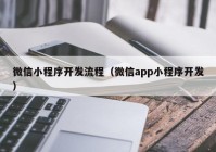 微信小程序開發(fā)流程（微信app小程序開發(fā)）