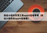 微信小程序開發(fā)工具appid在哪里看（微信小程序的appid在哪看）