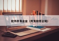 軟件開(kāi)發(fā)企業(yè)（開(kāi)發(fā)軟件公司）