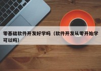 零基礎軟件開發(fā)好學嗎（軟件開發(fā)從零開始學可以嗎）