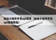 微信小程序開發(fā)api調(diào)用（微信小程序開發(fā)api調(diào)用教程）