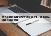 電子商務網(wǎng)站建設(shè)與管理實訓（電子商務網(wǎng)站建設(shè)與維護實訓）