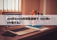 seo優(yōu)化sem你到底選哪個(gè)（seo和sem是什么）